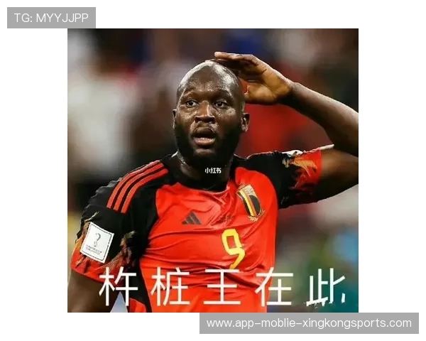 卢卡库的身体顶开对方之后抢射，比利时前场强势推进——力量与速度在禁区外的交响