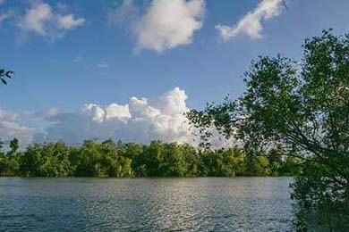 2025中国篮球竞技水平稳步提升，国际影响力扩大，中国篮球未来走向