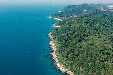 2020年NBA复赛：库里复出表现抢眼，带领勇士冲进季后赛圈层，展现恢弘力量